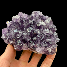 Ametyst - Szczotka Kryształów 537g - 12x9x3,5 cm